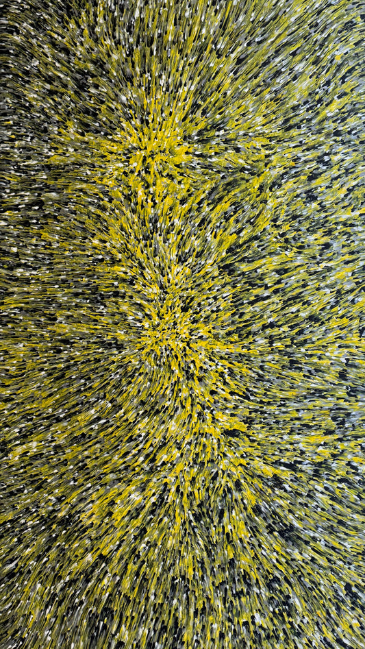 Tanami Sheet