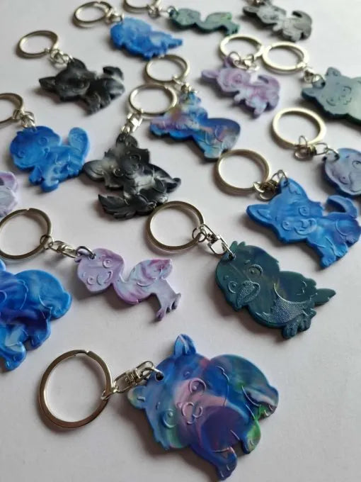 ZPA Keyrings