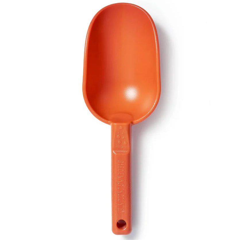 Dingo Orange